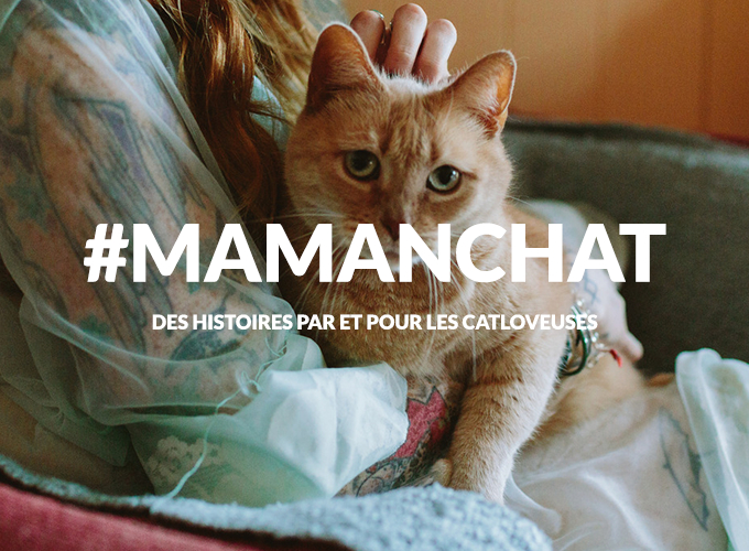 mamanchat-catloveuses
