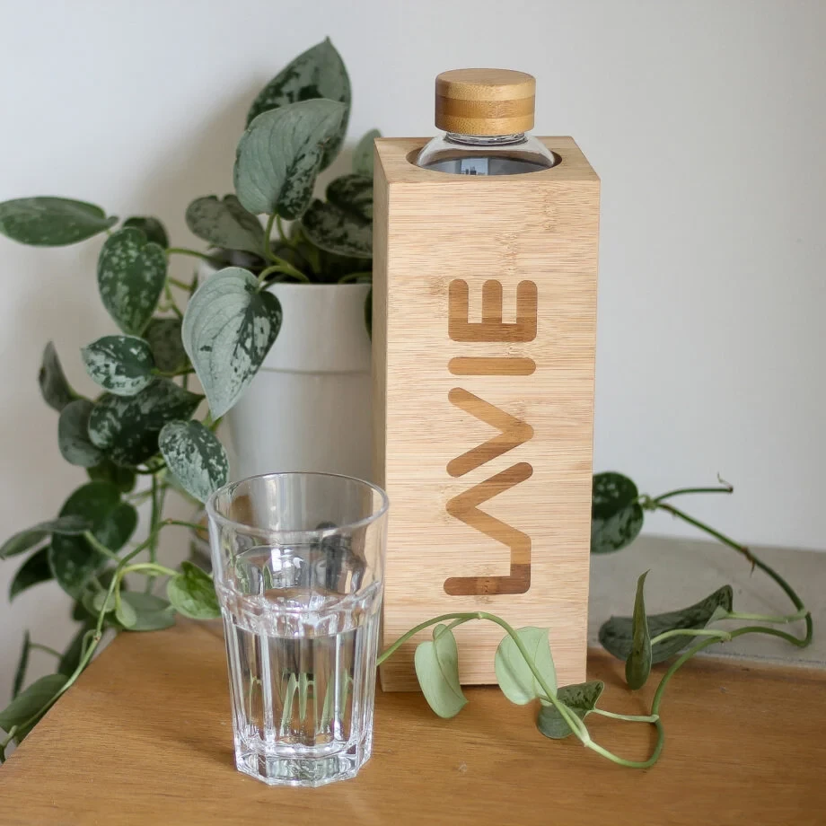 purificateurs d'eau Lavie