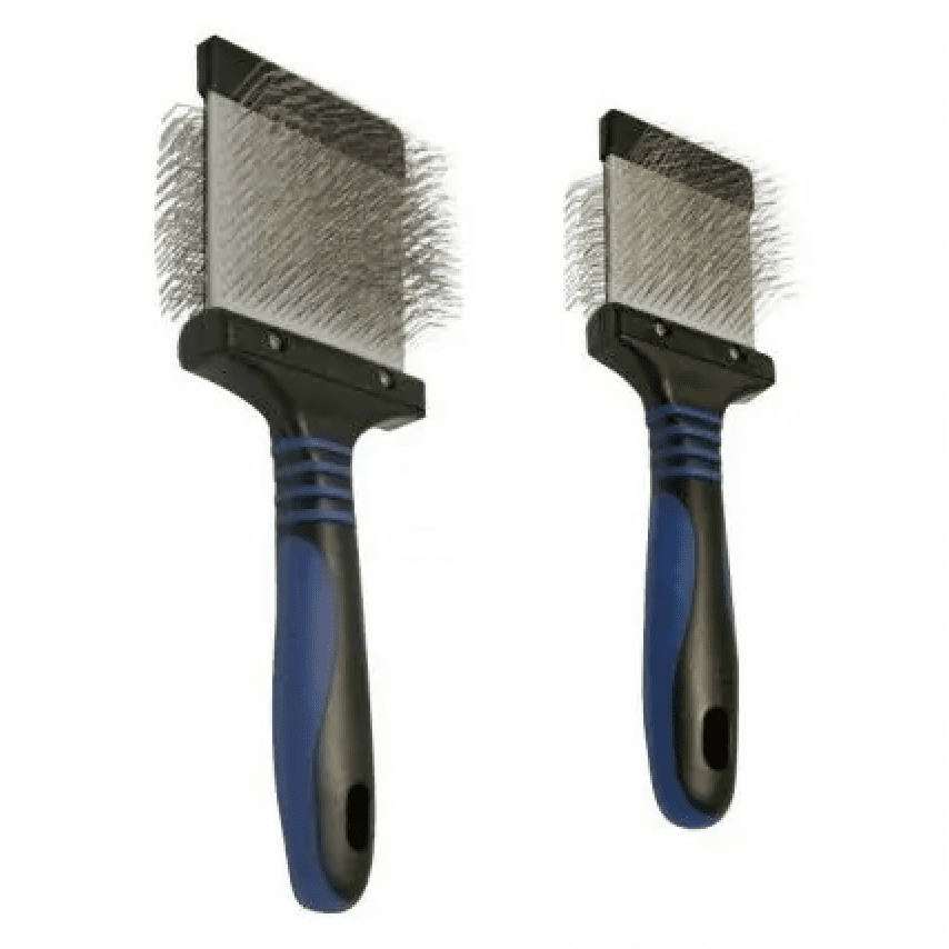 brosse british shorthair