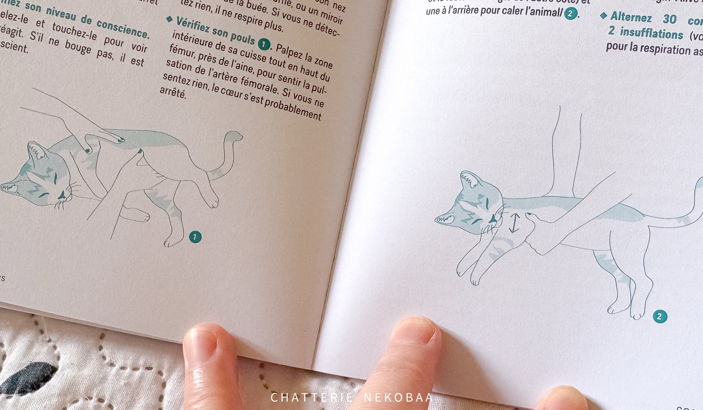 livre sur les chats
