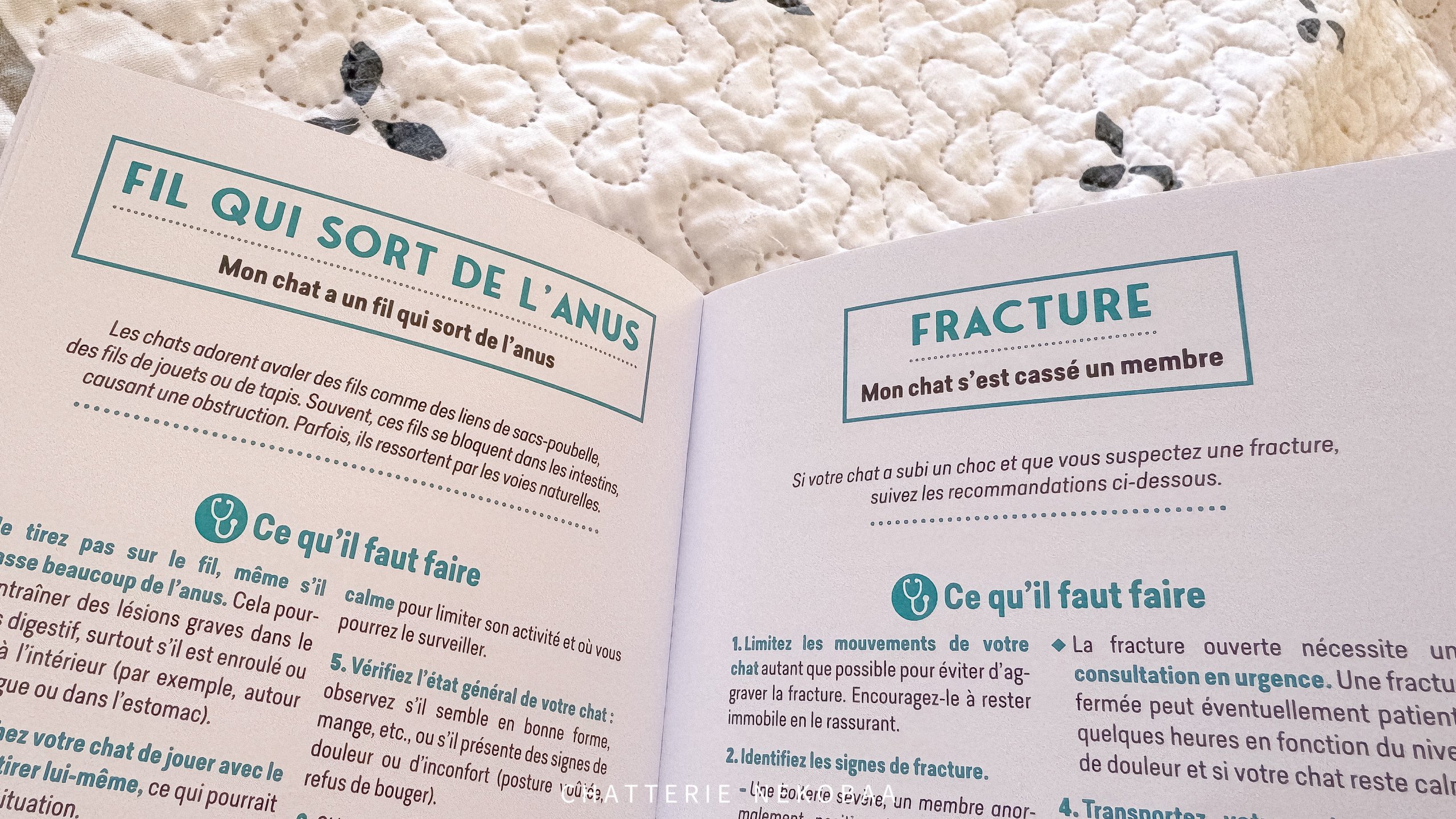 livre chats urgences vétérinaires