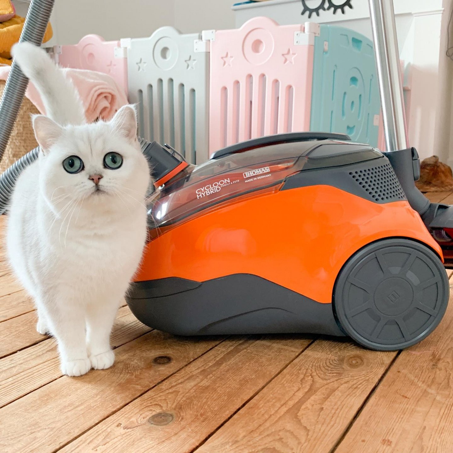Aspirateur Pour Poils D Animaux Chatterie Nekobaa Aspirateur Pour Poils D Animaux Chatterie Nekobaa