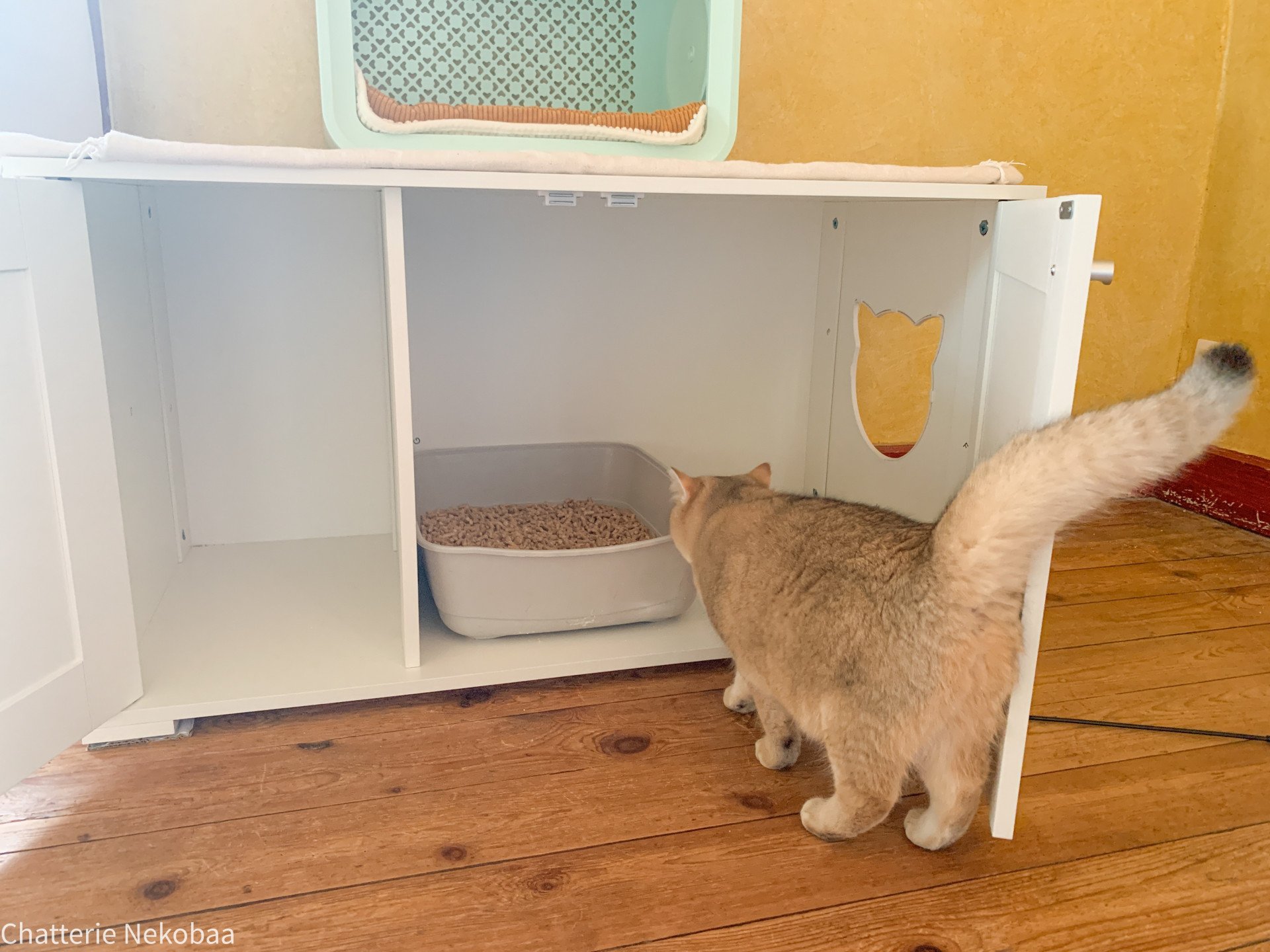 cacher litière chat