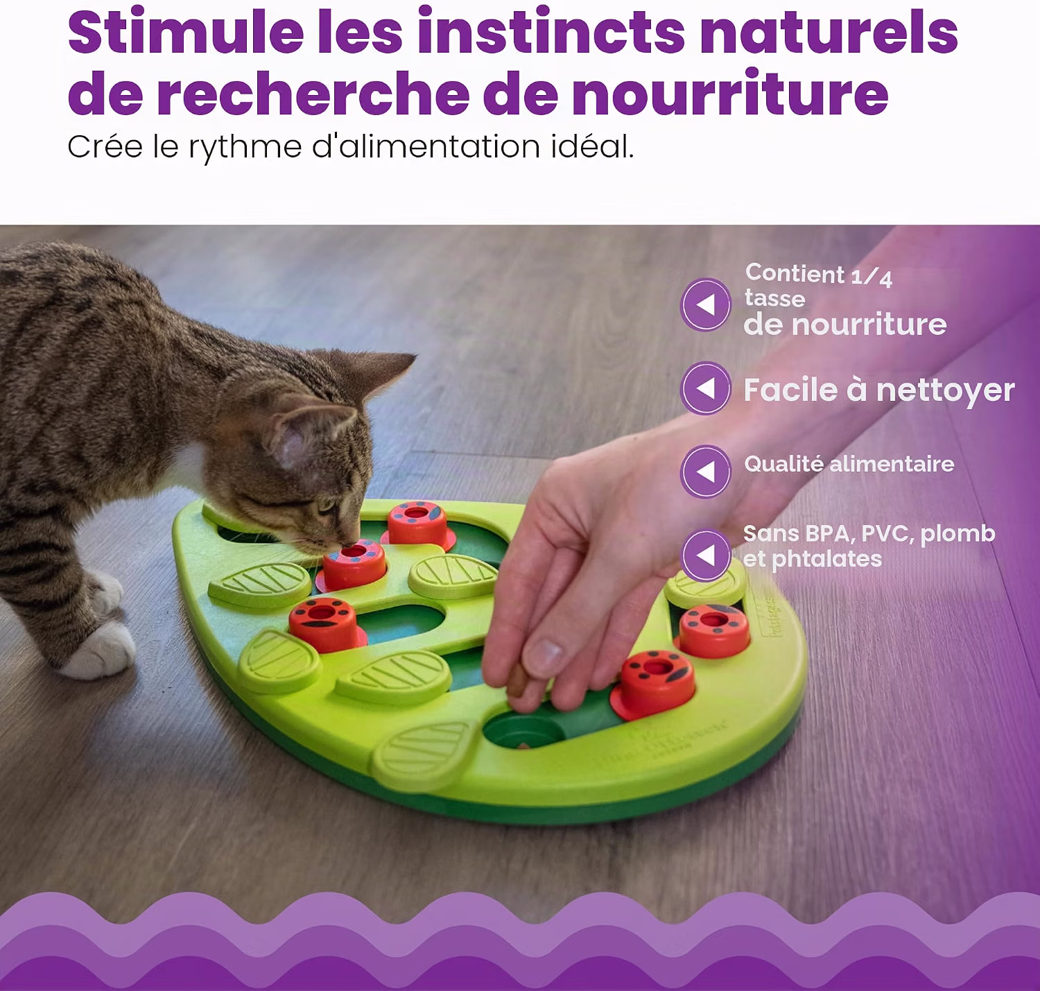 jeu alimentaire chat