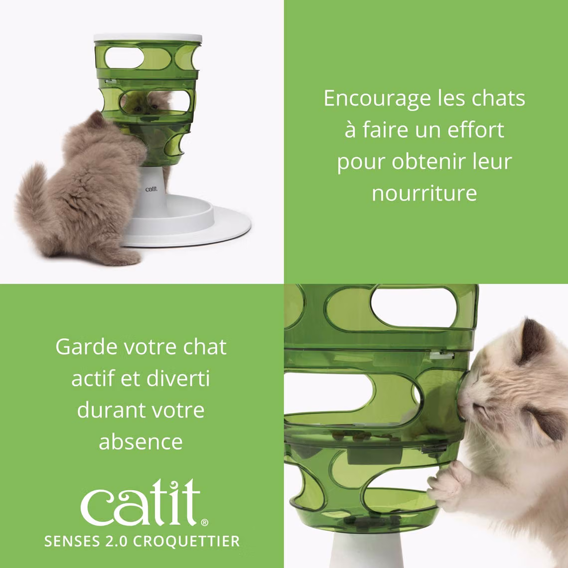 tour jeu chat croquettes