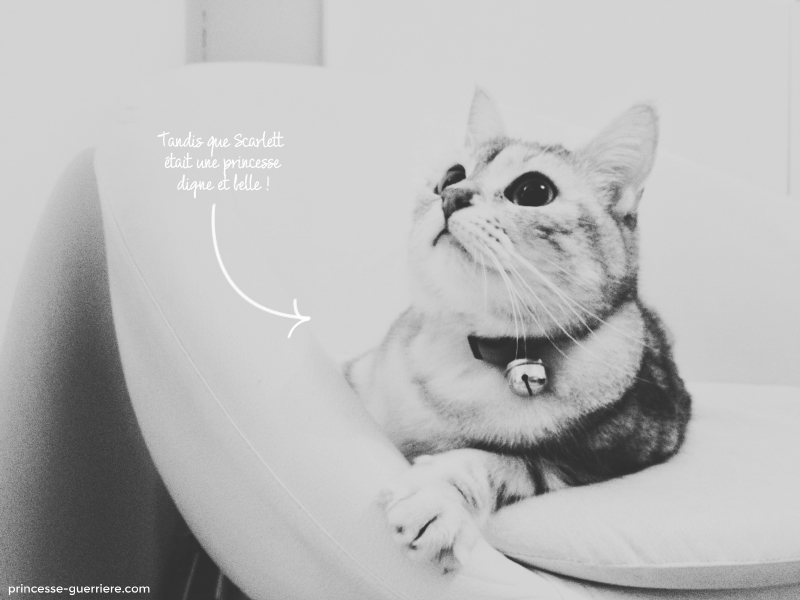 caturday-janvier14-princesseguerriere-3
