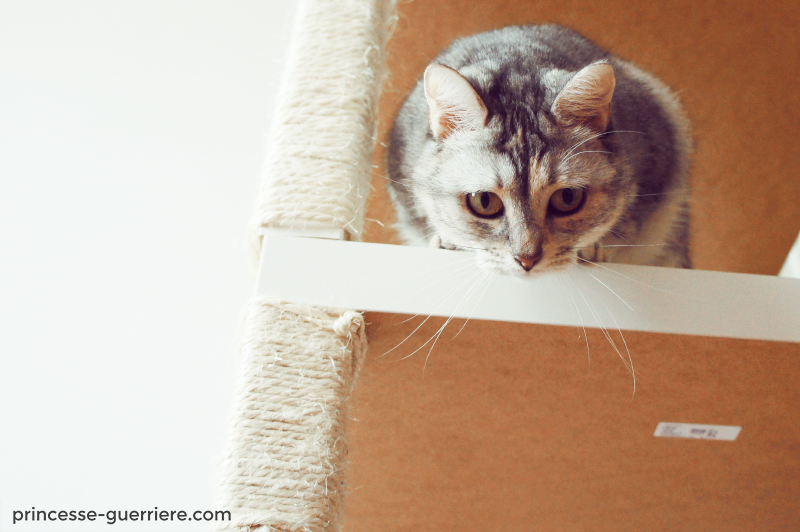 Diy Un Arbre A Chat Ikea Chatterie Nekobaa