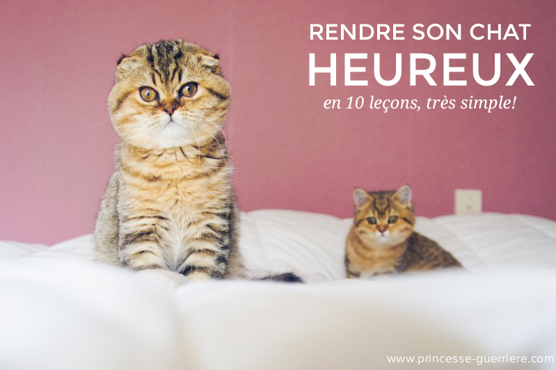 rendre_son_chat_heureux