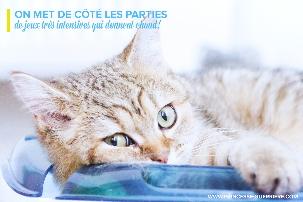 chat-canicule-jun