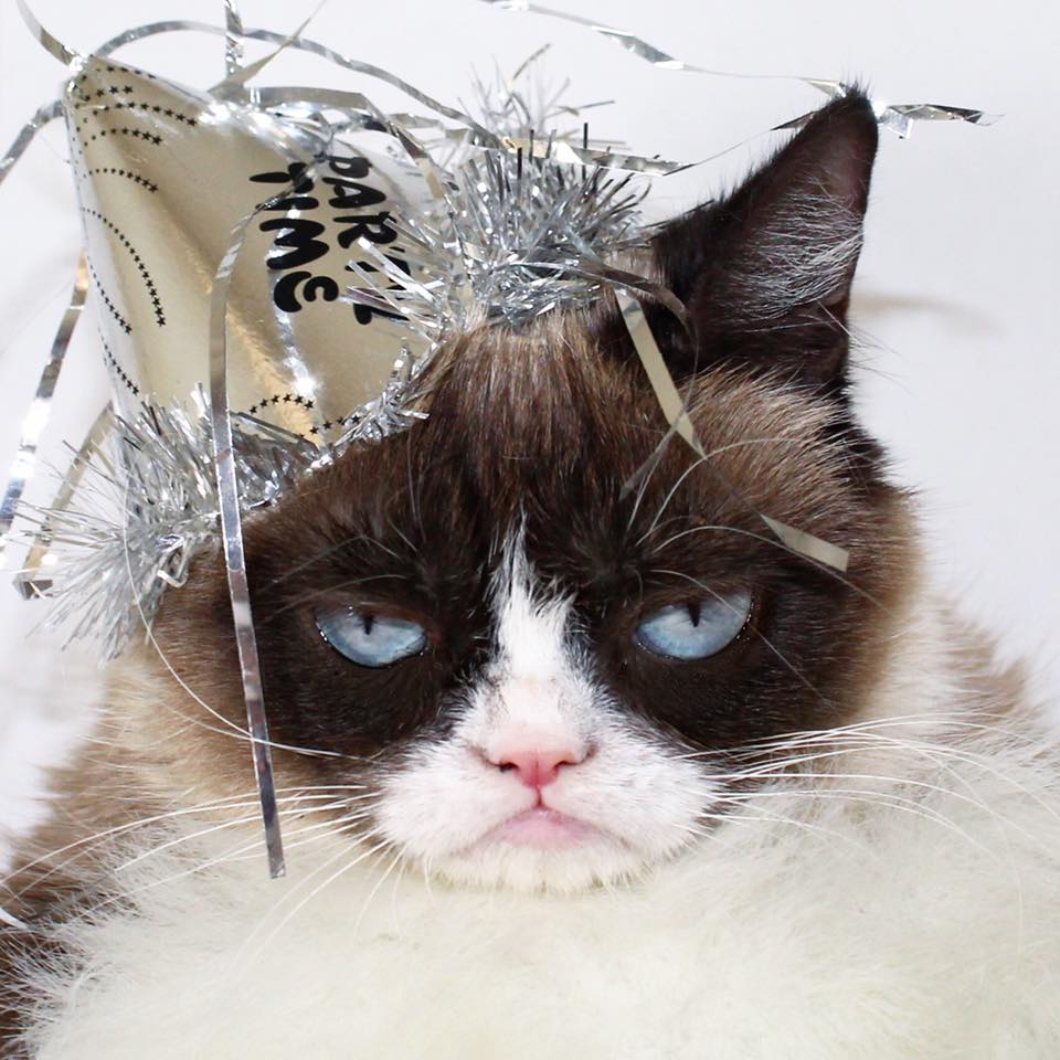 grumpycat-happynewyear