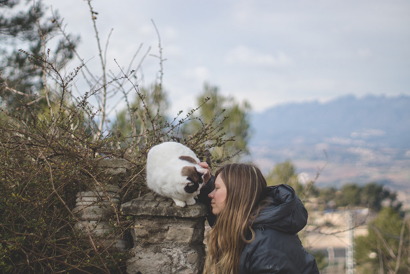 projet-365-chats-5