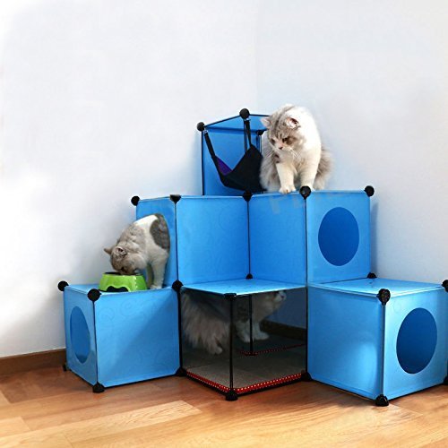 arbre-chat-cubes