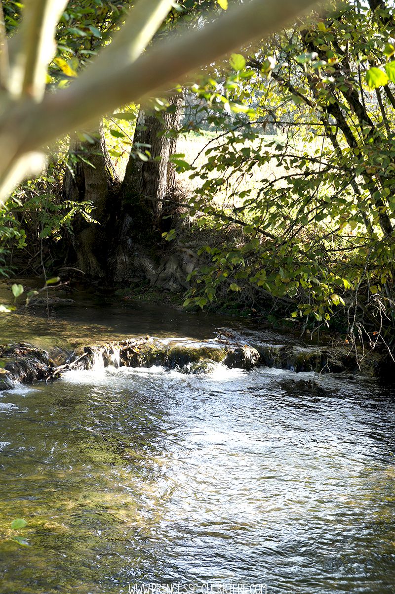 riviere-PrincesseGuerriere