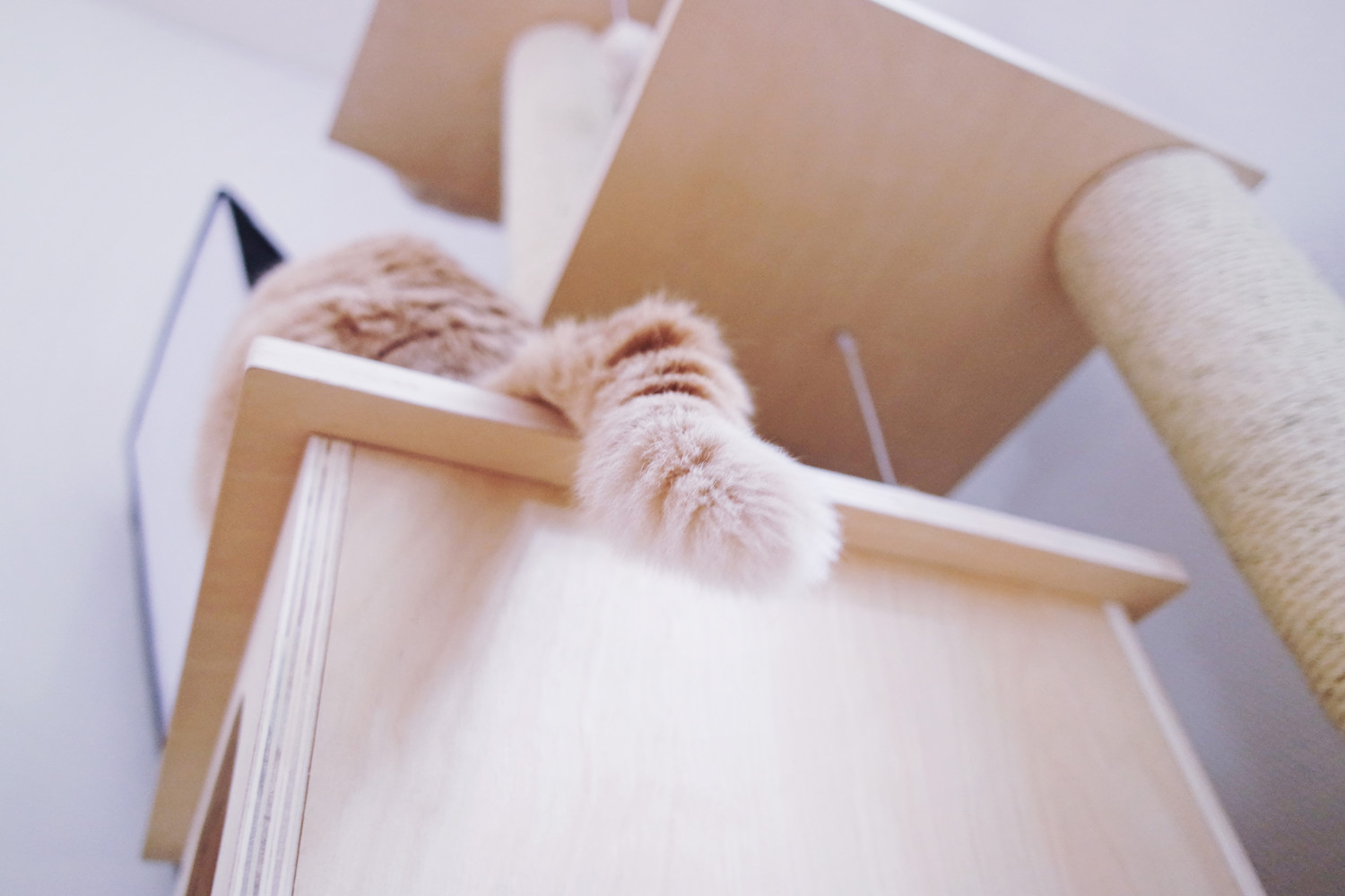 choisir-arbre-chat-3710