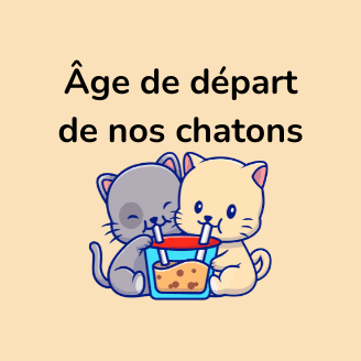 âge départ chaton élevage