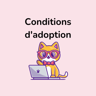 conditions adoption chaton british