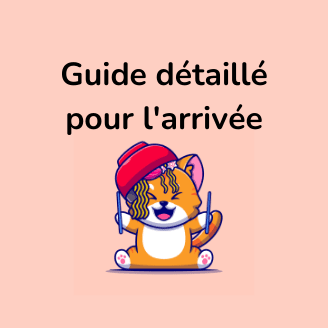 guide detaillee arrivée chaton british