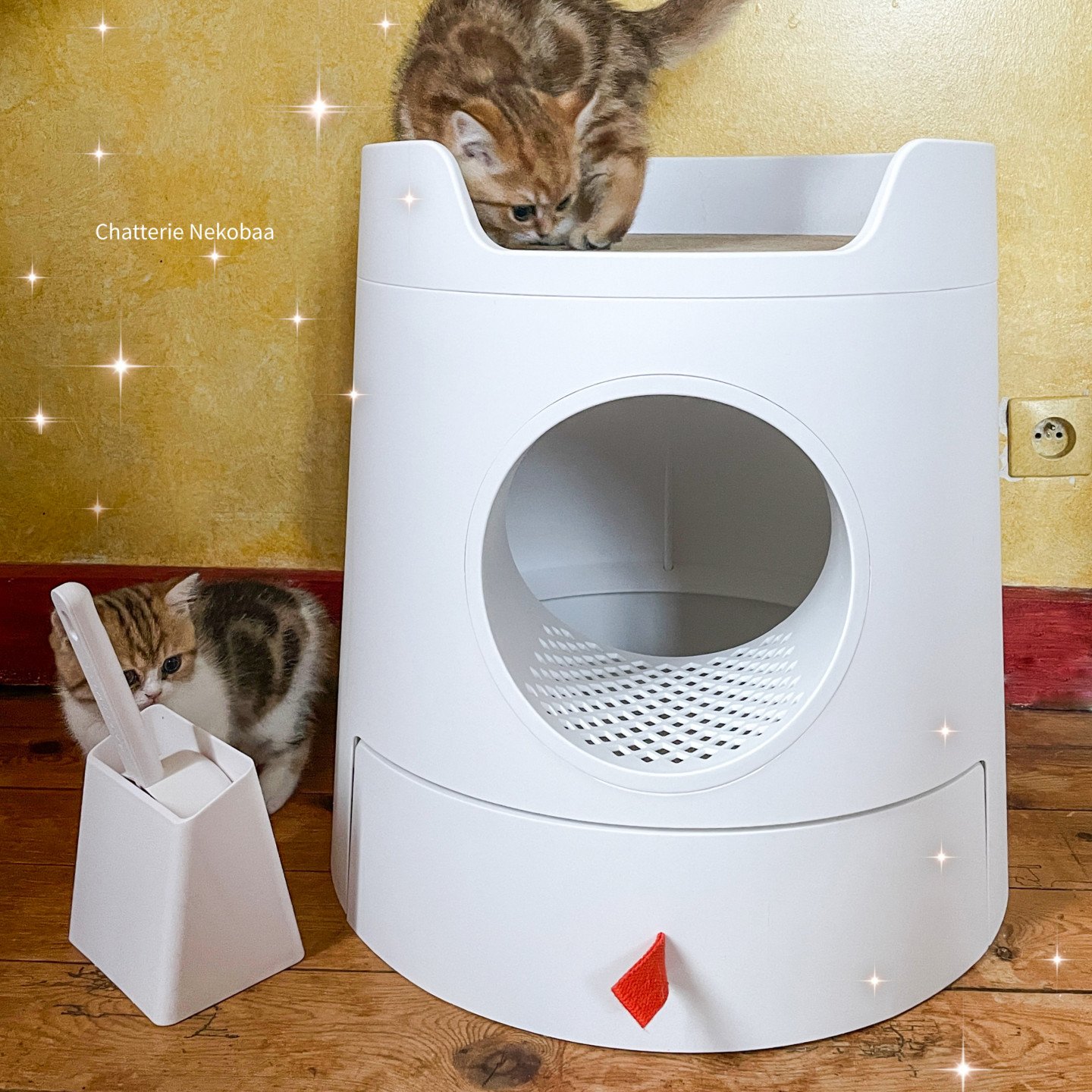 Litière design pour chat compacte blanc, Oppo - Bagane