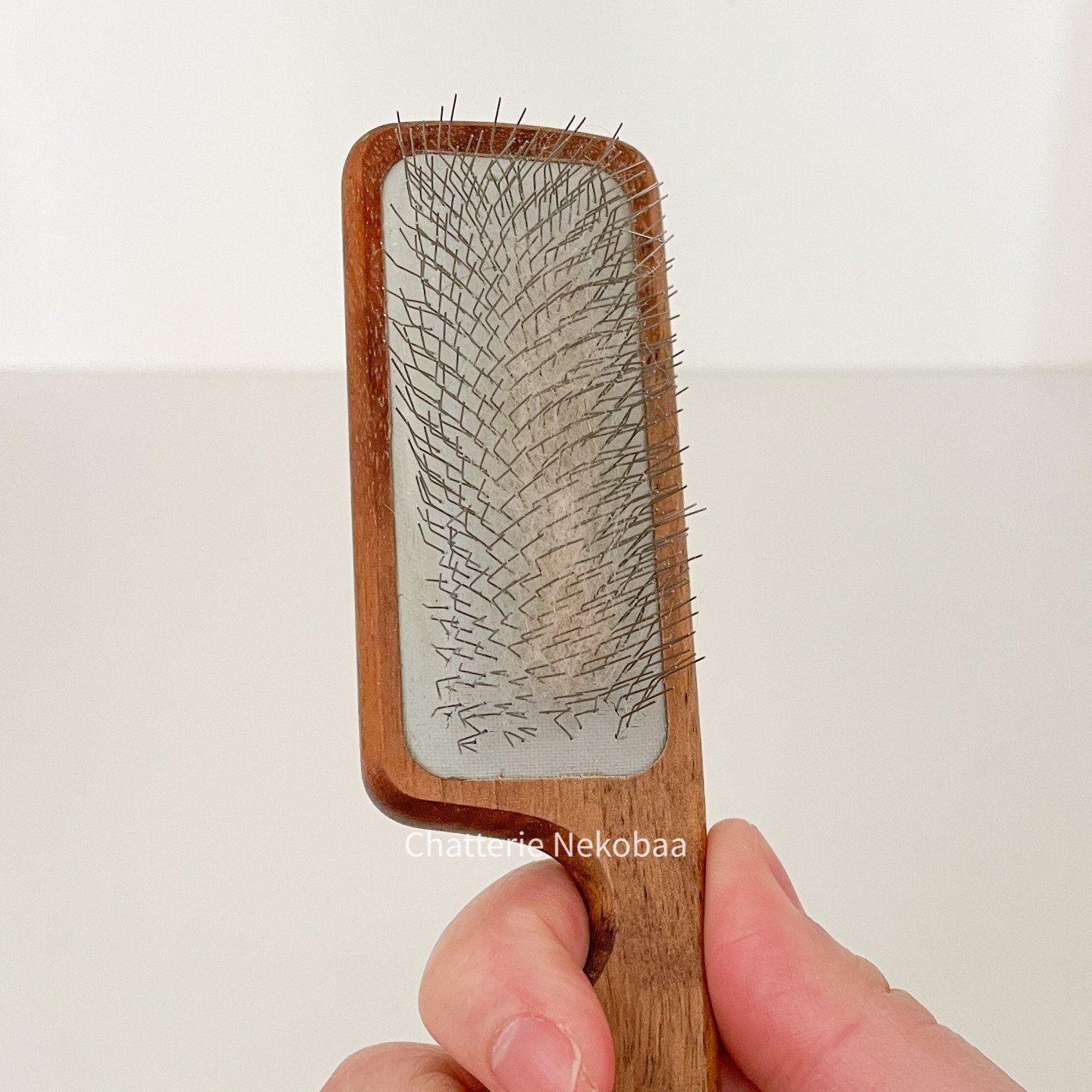 brosse-chat