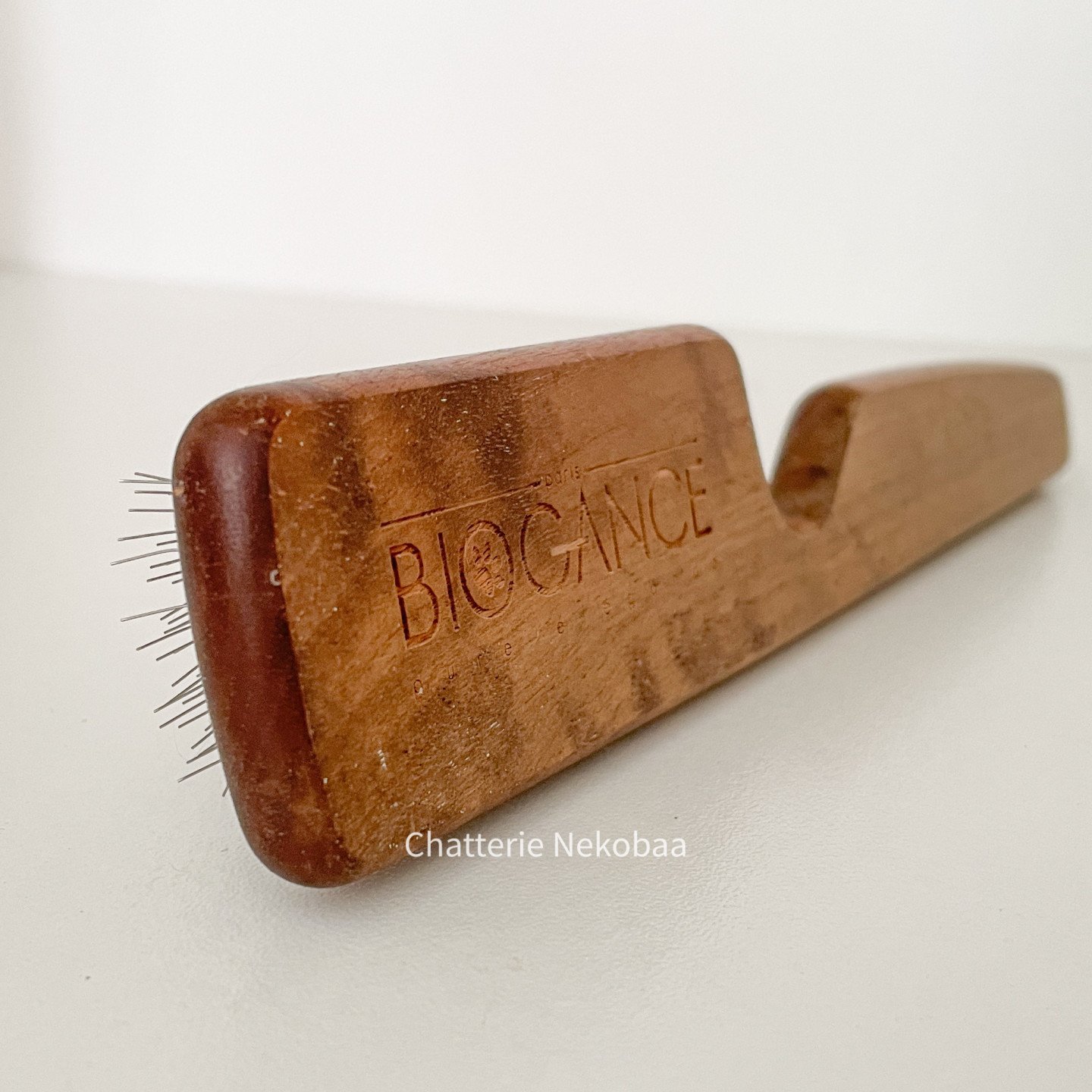 brosse-chat-2