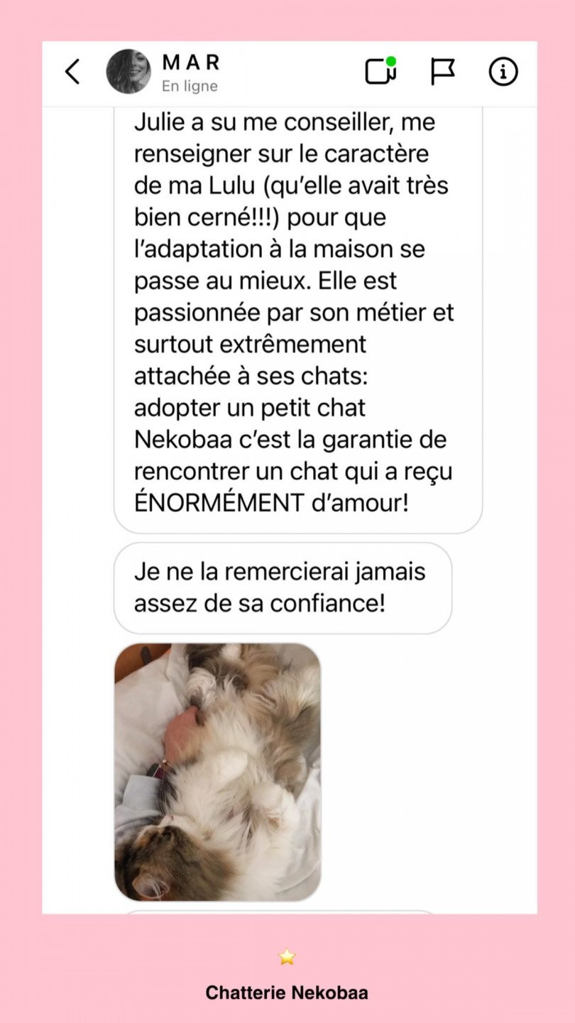 avis nekobaa lulu