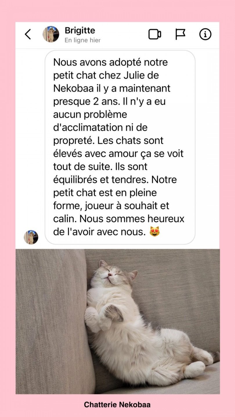 avis nekobaa okiko