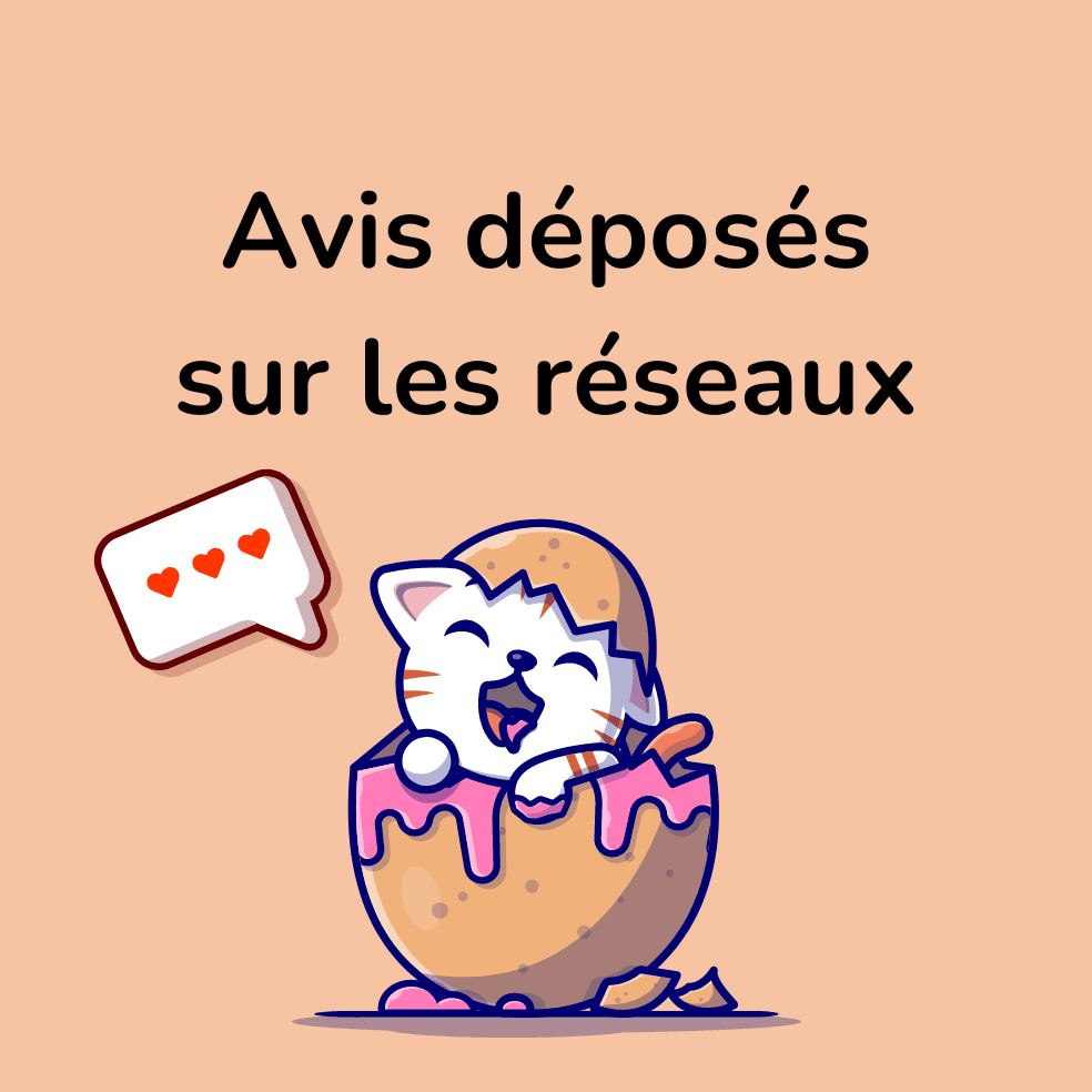 avis réseaux sociaux nekobaa