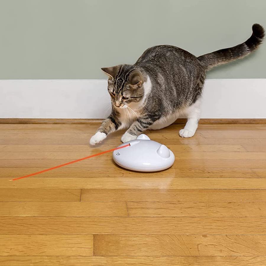 jouet chat laser 