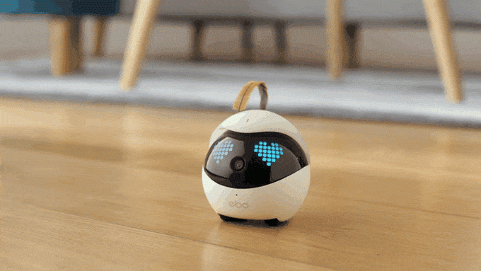 Un compagnon robot pour votre chat !