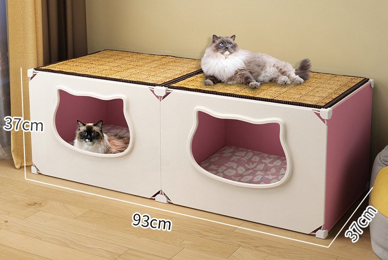 parc chatons aliexpress