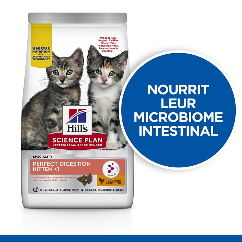 croquettes hills chatons