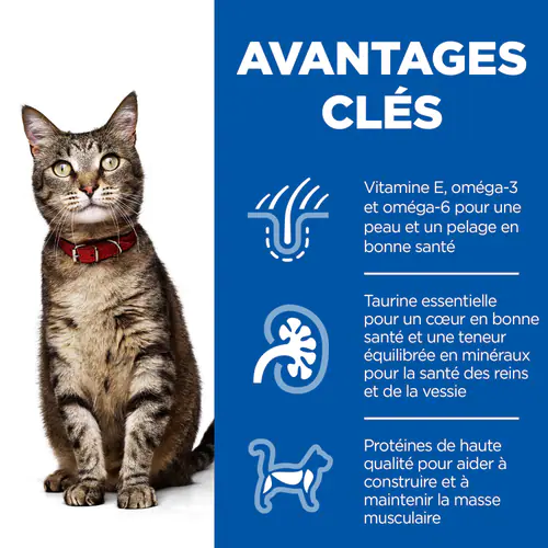 avantages croquettes hills