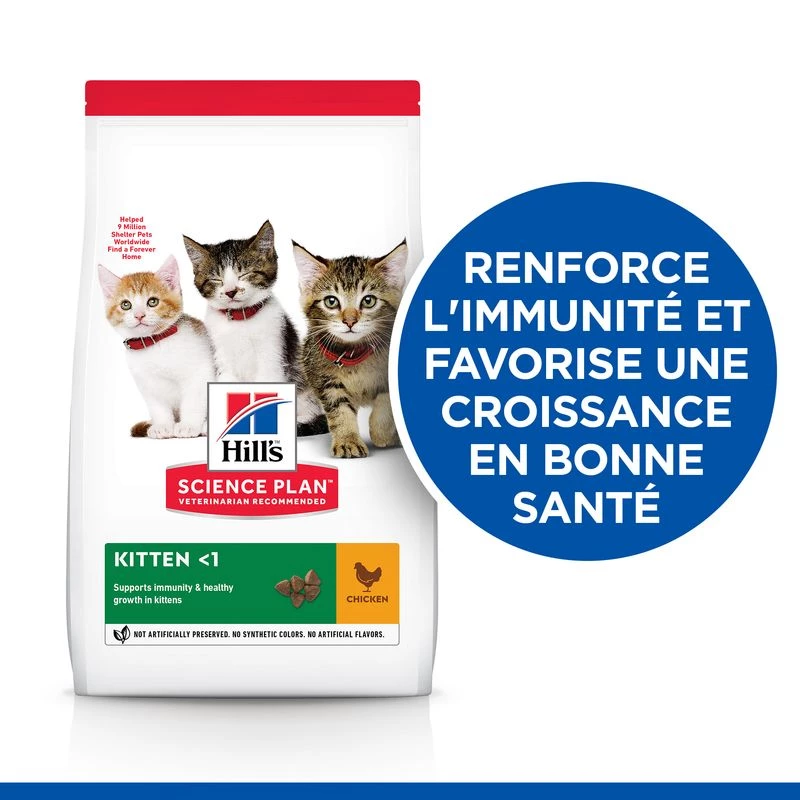 croquettes hills