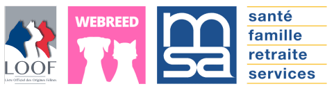 logos du loof webreed et msa