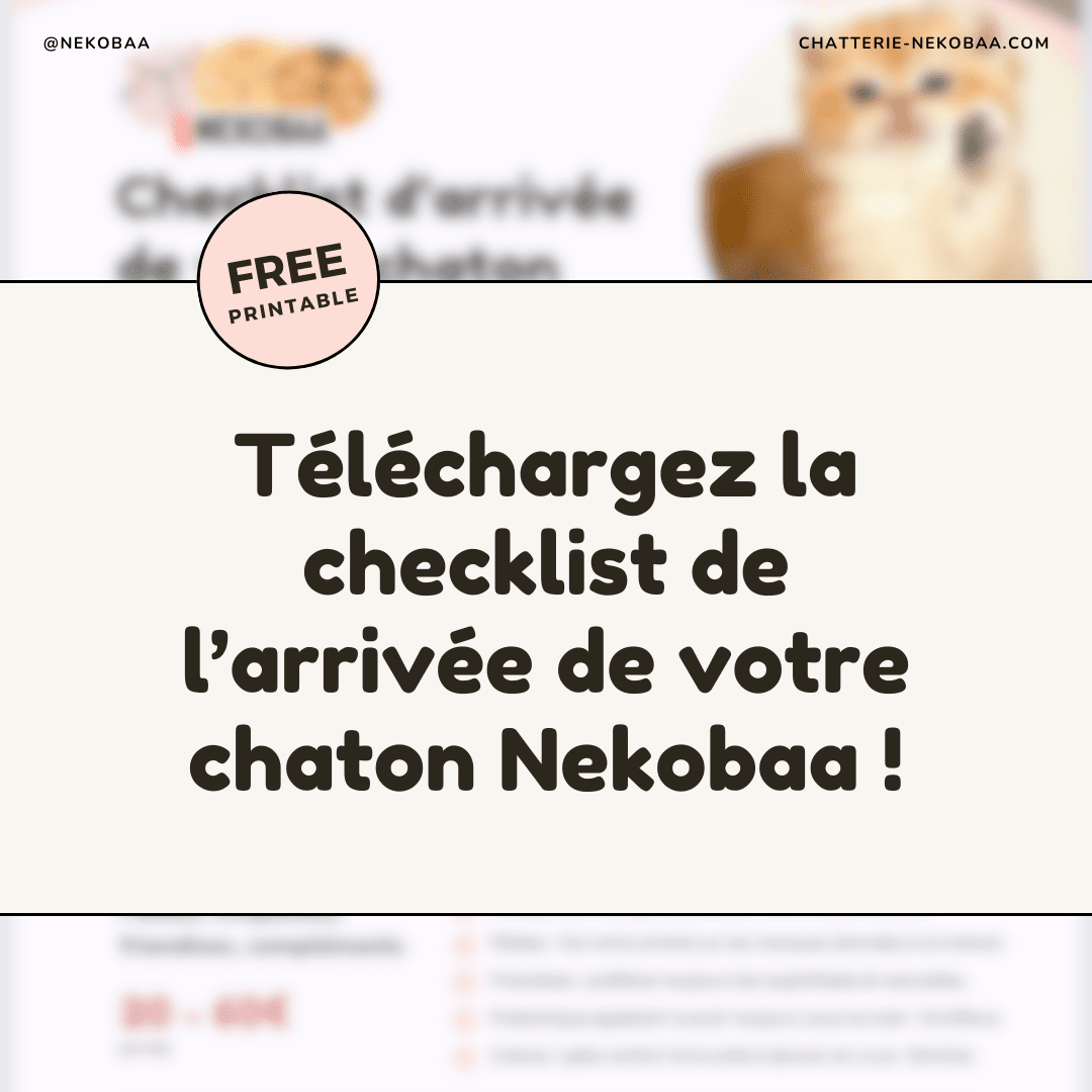 téléchargement checklist chaton