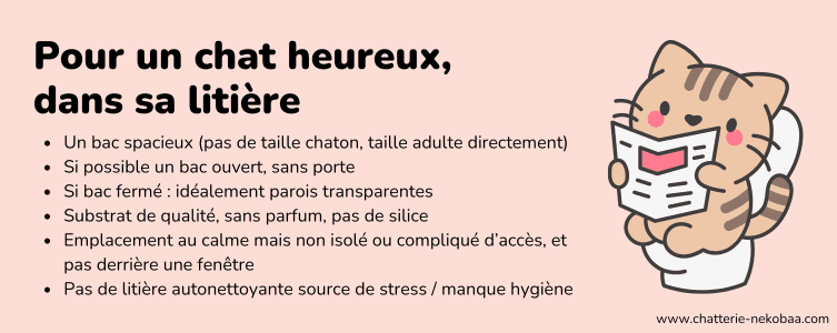 bien choisir bac litière chat