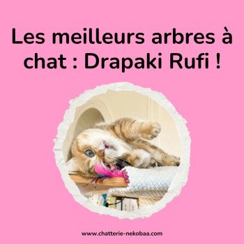 Arbre à chat Drapaki Rufi : les meilleurs arbres à chat !