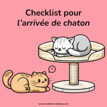 Arrivée d'un chaton Nekobaa à la maison, checklist récap !
