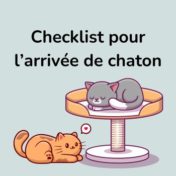 Arrivée d'un chaton Nekobaa à la maison, checklist récap !