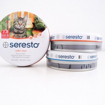 Collier Seresto: la vérité sur ces colliers anti-parasitaires réputés dangereux pour votre chat!