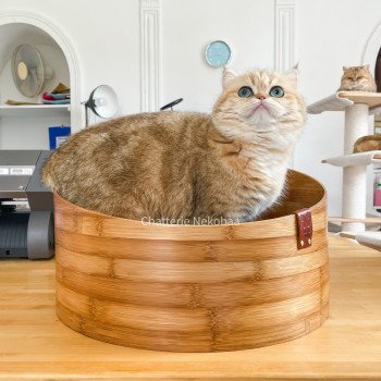 Corbeillle en bambou pour chat