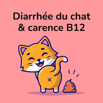 Diarrhée chez le chat : et si c’était une carence en vitamine B12 ?