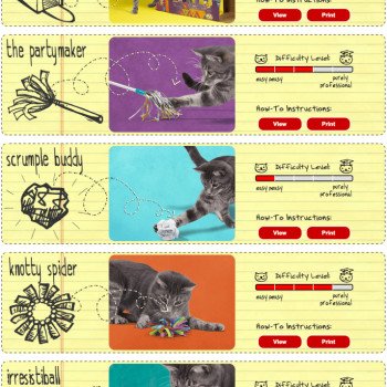 5 DIY faciles pour fabriquer des jouets à son chat