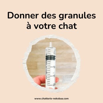 Comment donner des granules d'homéopathie à un chat ?