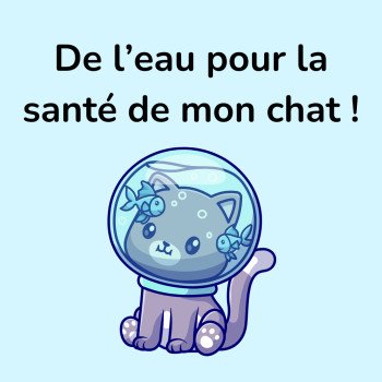 Besoins hydriques du chat, en élevage et à la maison : de l'eau pour mon chat !