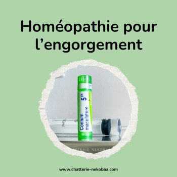 Engorgement chatte allaitante : homéopathie et soin