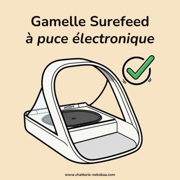 Gamelle chat puce électronique: notre avis, grand OUI !