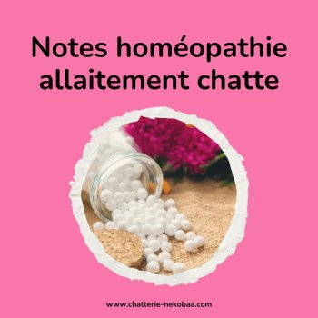 Notes homéopathie : pathologies mammaires liées à l'allaitement chez la chatte