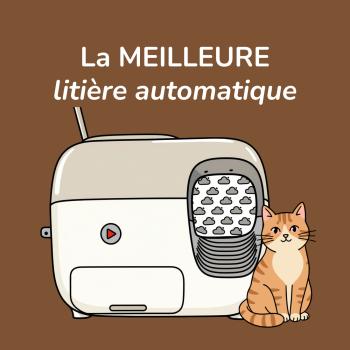 Litière robot Pet Snowy, on dit (finalement) oui !