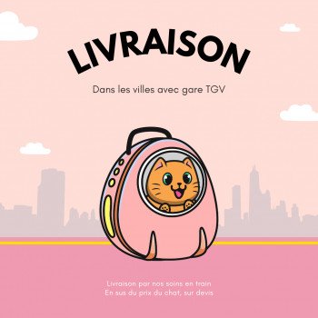 Livraison de nos chatons